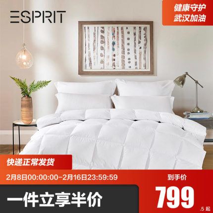 ESPRIT Home Furnishing Home Textile Winter Warm Thick Quilt Kou Si Jia Zhen You Eider Down Winter Quilt